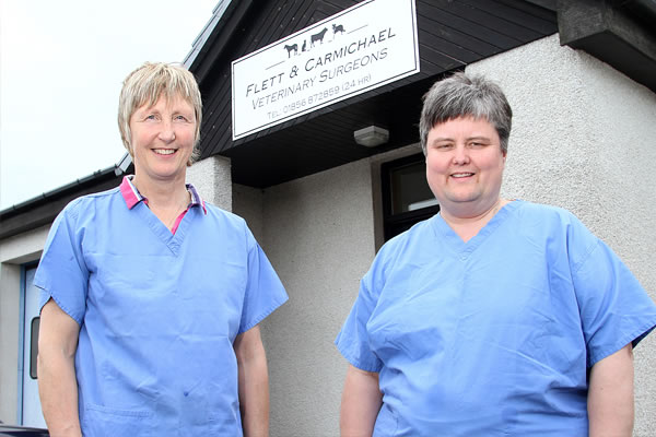 Flett & Carmichael Veterinary Surgeons