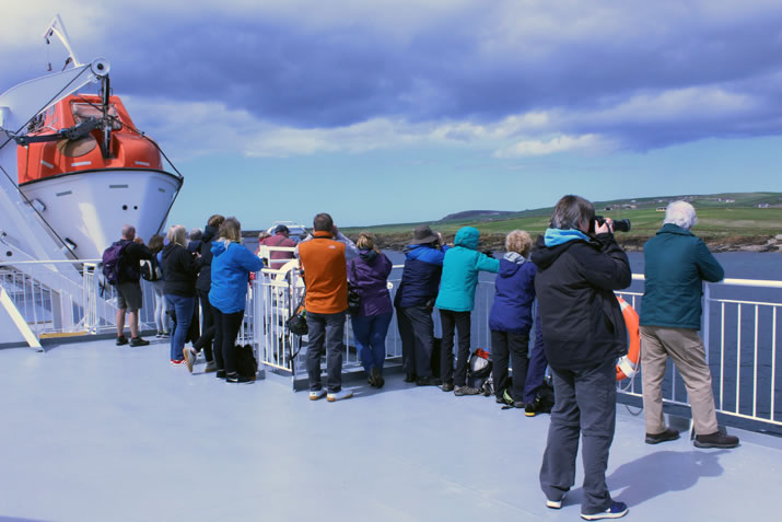 Orkney Nature Festival