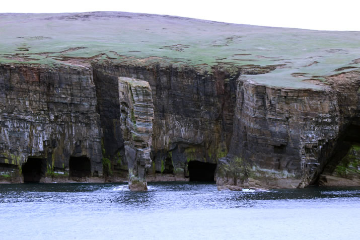 Orkney Nature Festival