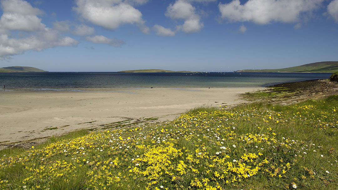 Aikerness beach in Evie, Orkney