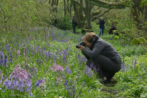 Nature photography workshop by Alison Nimmo