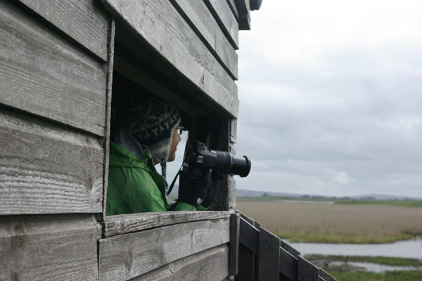 Nature photography workshop by Alison Nimmo