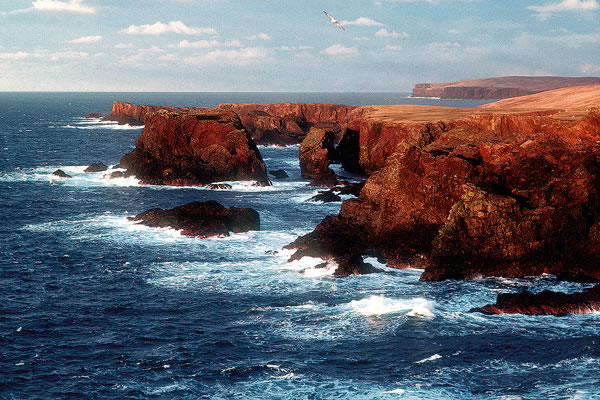 Eshaness cliffs