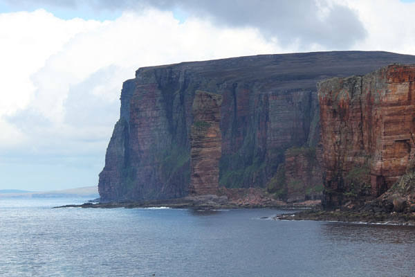 Orkney Nature Festival Cruise