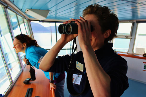 Orkney Nature Festival Cruise