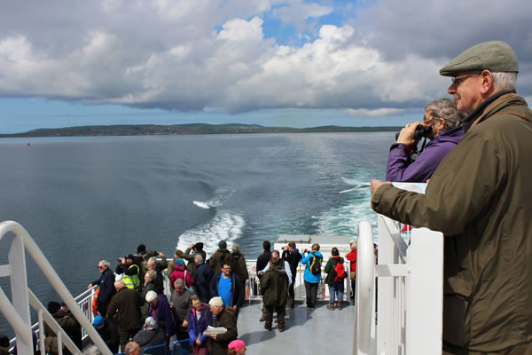 Orkney Nature Festival Cruise