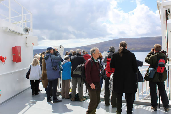 Orkney Nature Festival Cruise