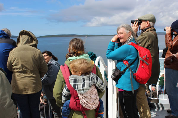 Orkney Nature Festival Cruise