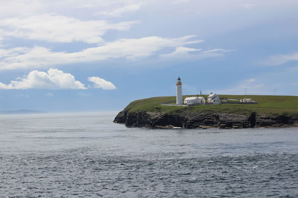 Orkney Nature Festival Cruise