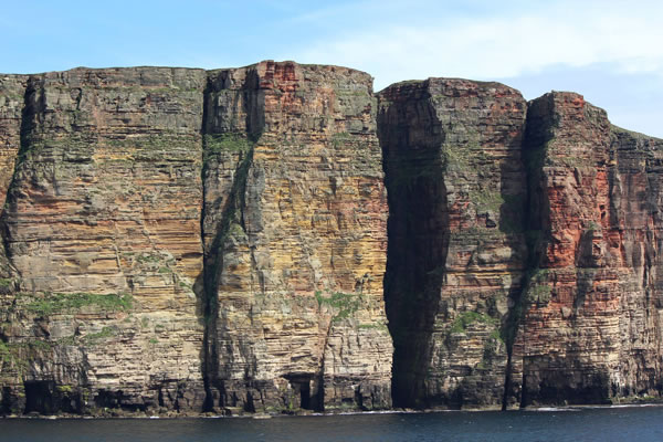 Orkney Nature Festival Cruise