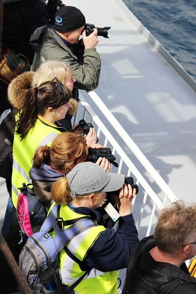 Orkney Nature Festival Cruise