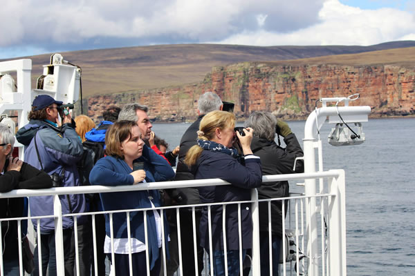 Orkney Nature Festival Cruise