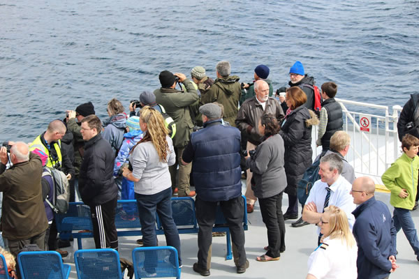 Orkney Nature Festival Cruise