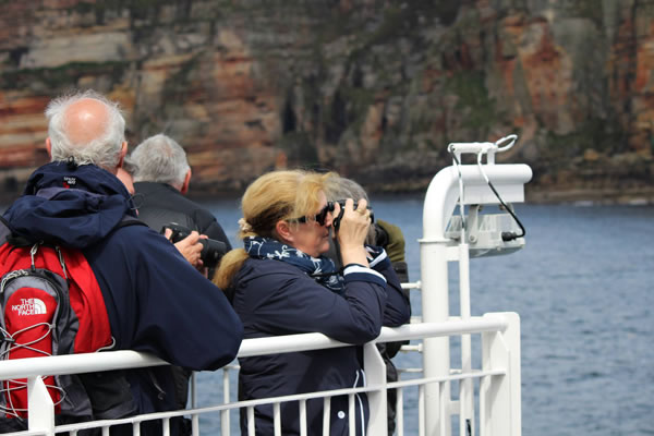 Orkney Nature Festival Cruise