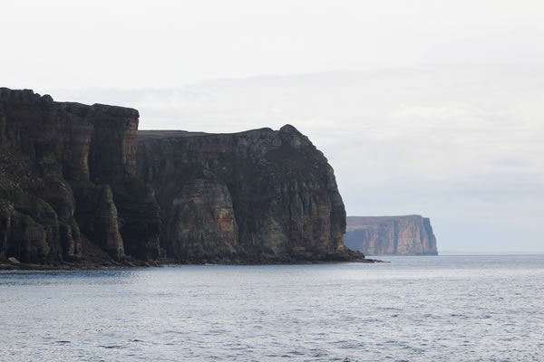 Orkney Nature Festival Cruise