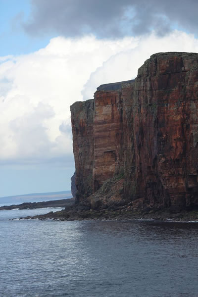 Orkney Nature Festival Cruise