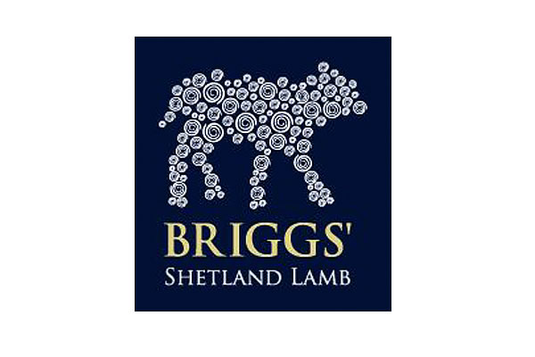 Briggs' Shetland Lamb