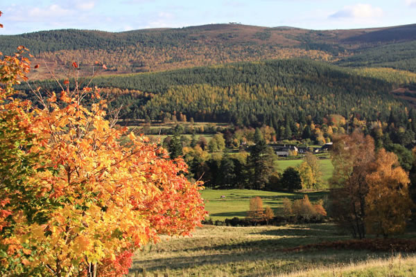 Glen Tanar Estate Holiday Cottages