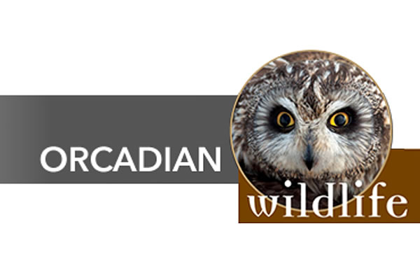 Orcadian Wildlife, Wildlife Holidays