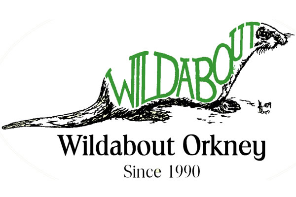 Wildabout Orkney, Guided Tours
