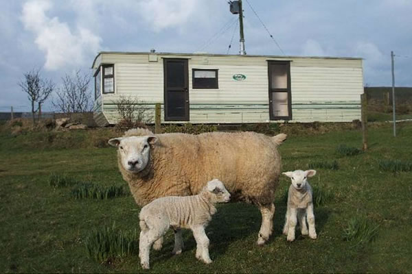 Bryameadow Holiday Caravan, Sandwick