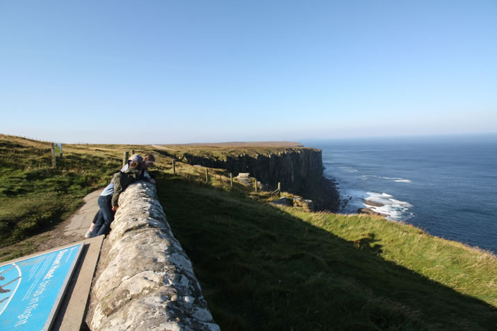 Dunnet Head, Caithness - seabird cliff