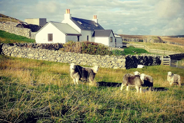 Waddle Self Catering, Walls