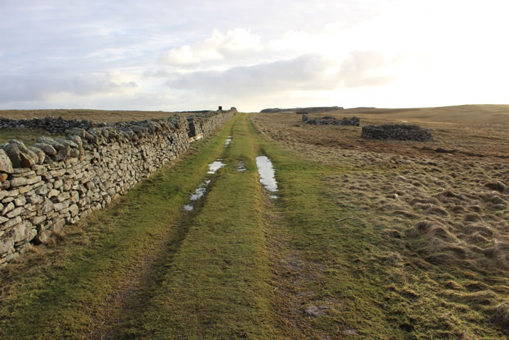 The track to the Ness of Burgi, Shetland
