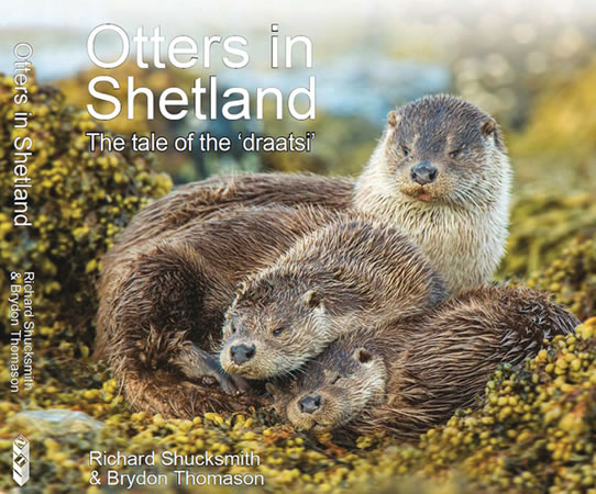 Otters in Shetland The Tale of the Draatsi by Richard Shucksmith and Brydon Thomason