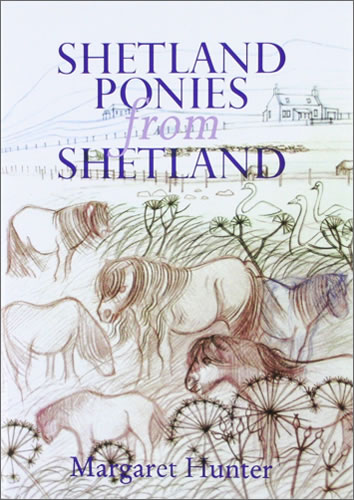 Shetland Ponies from Shetland by Margaret Hunter