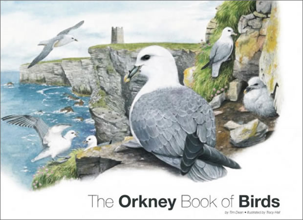 The Orkney Book of Birds by Tim Dean and Tracy Hall