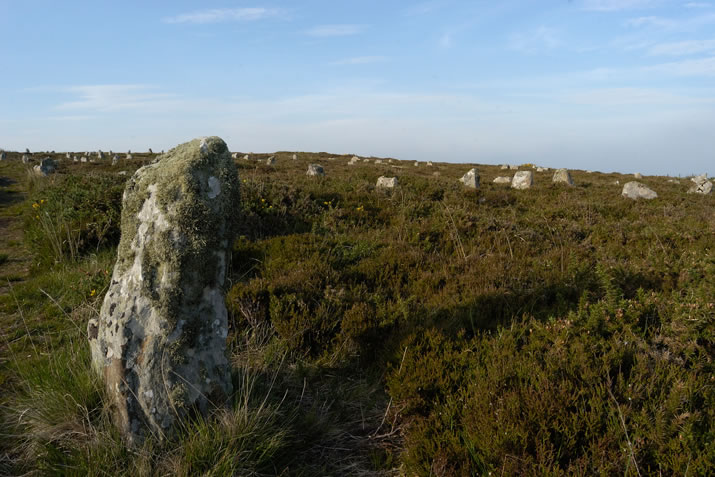 Hill O' Many Stanes, Caithness