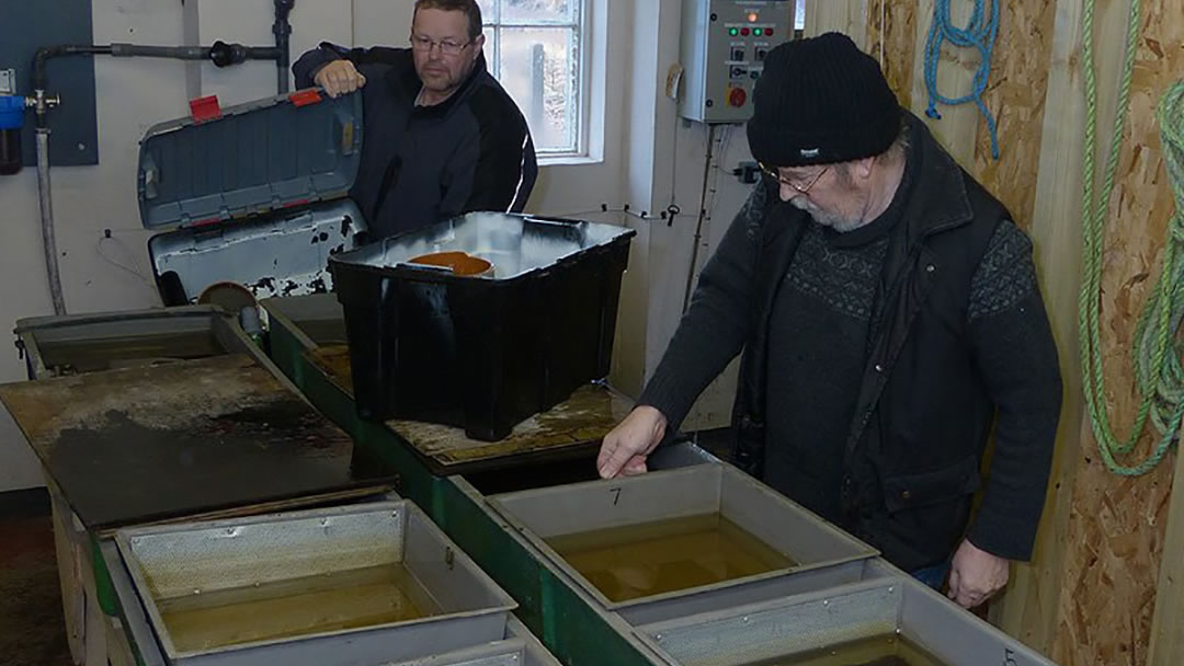 The Orkney Trout Fishing Hatchery