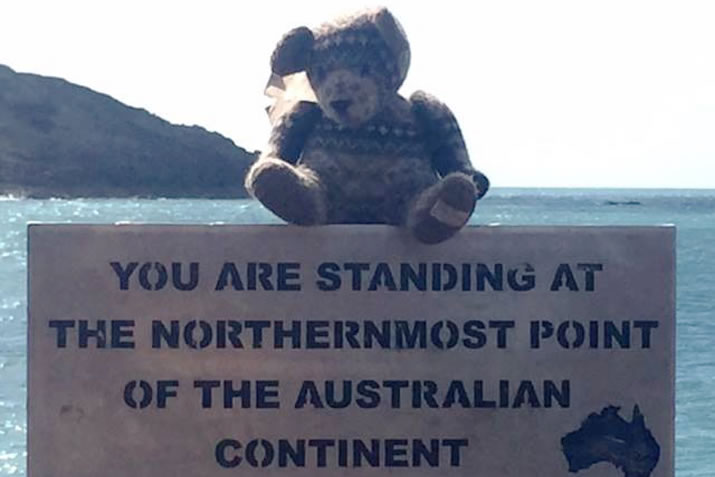 Burra bear in Australia