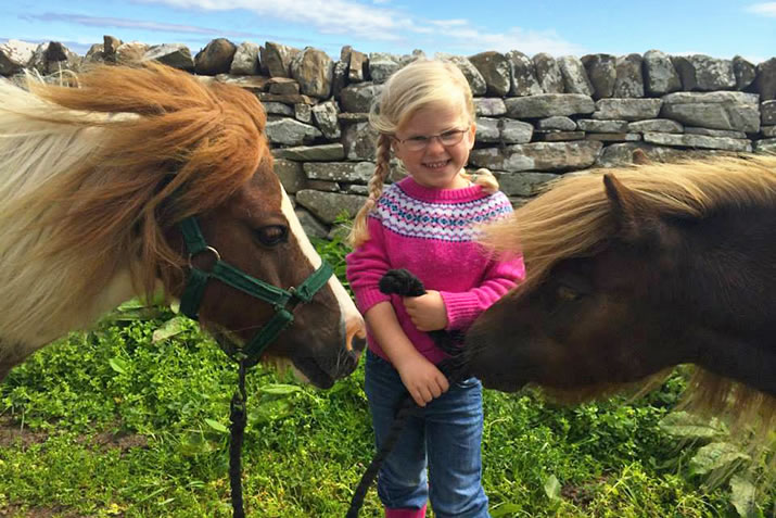 Shetland ponies are really good with children