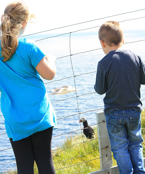 Children at Sumburgh Head in Shetland