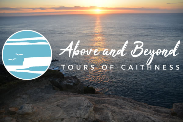 Above and Beyond Tours