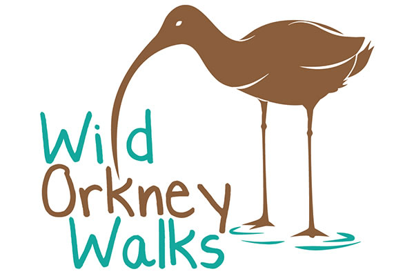 Wild Orkney Walks, Guided Walks