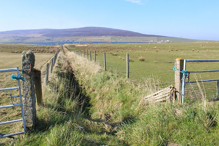 Field in Wyre, Orkney
