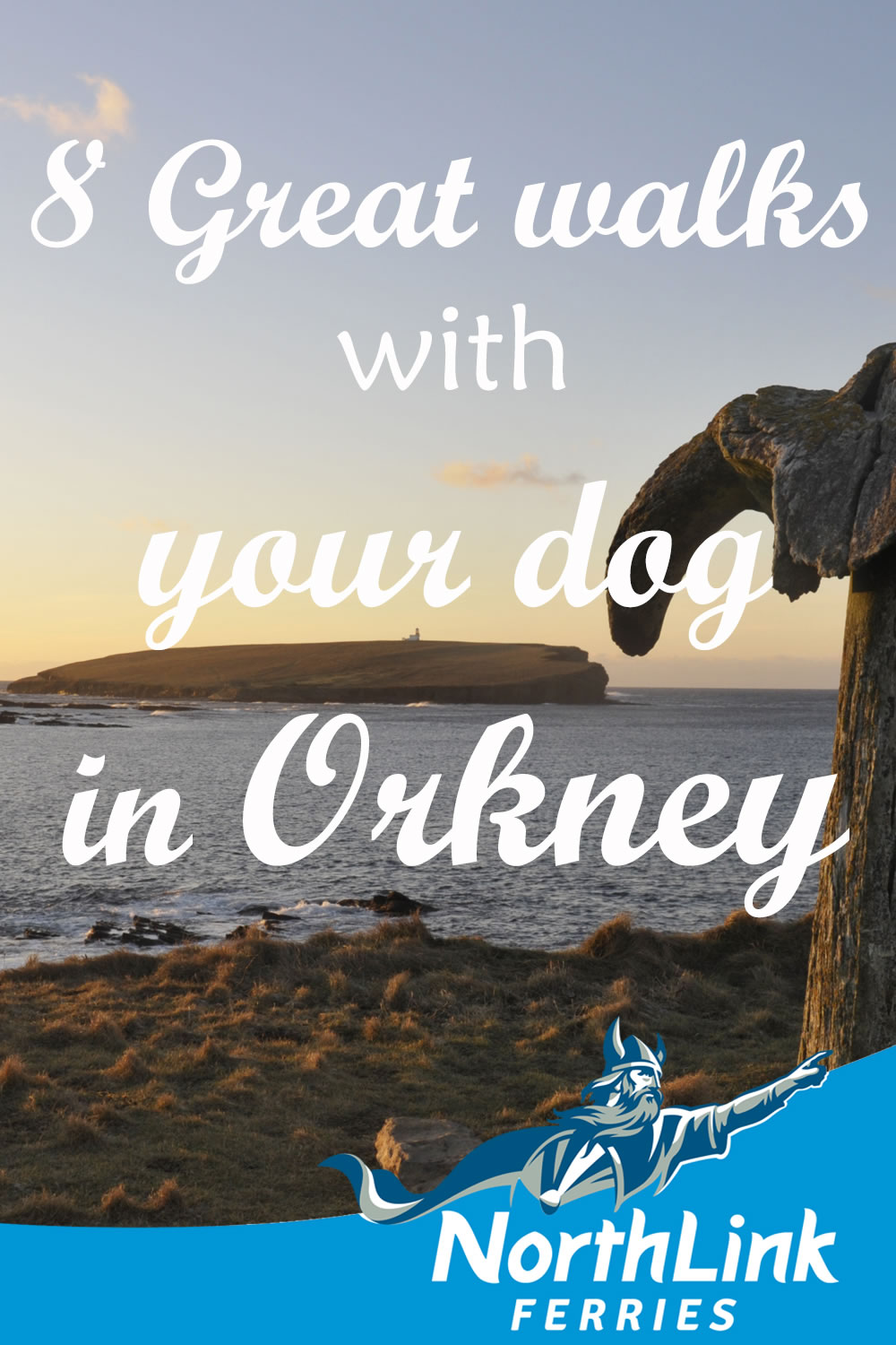 8 Great walks with your dog in Orkney