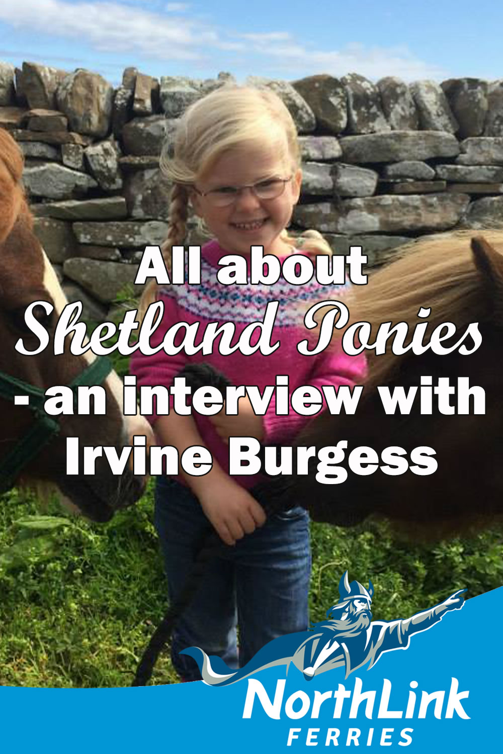 All about Shetland Ponies - an interview with Irvine Burgess