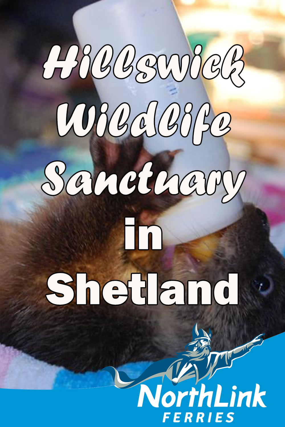 Hillswick Wildlife Sanctuary in Shetland