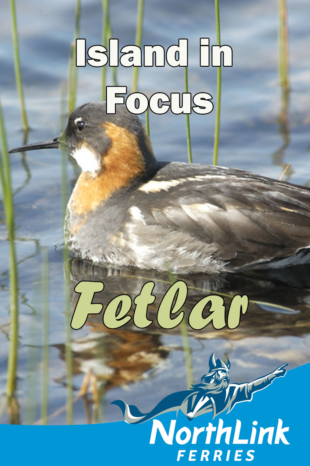 Island in Focus - Fetlar