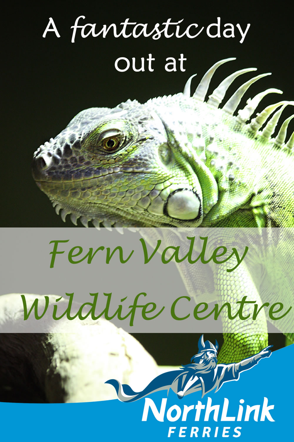 A fantastic day out at Fern Valley Wildlife Centre