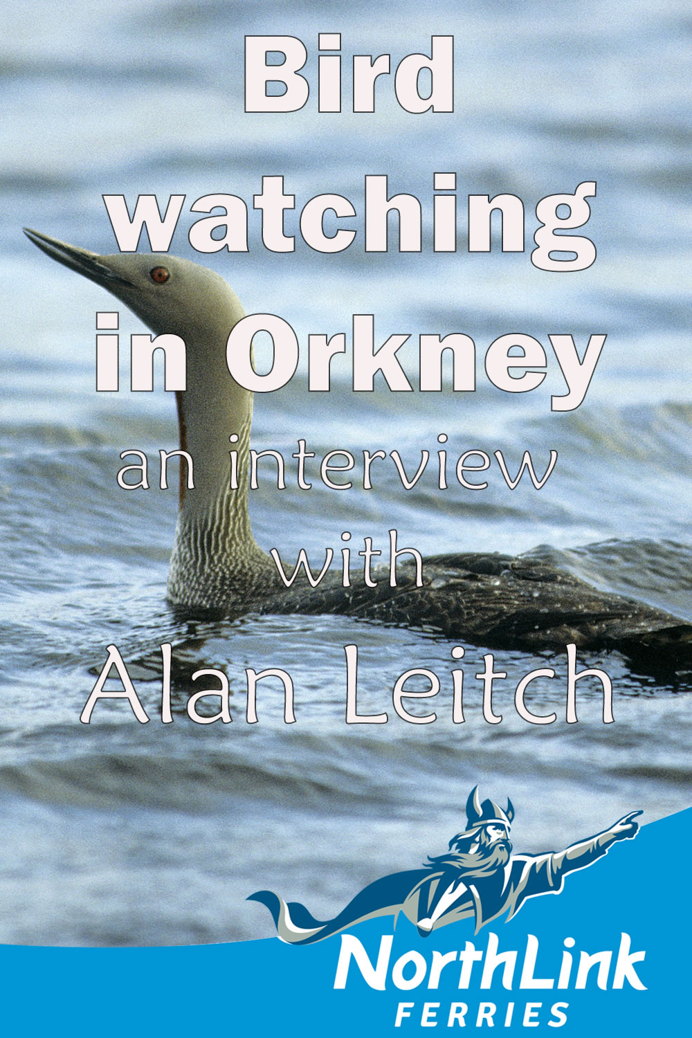 Birdwatching in Orkney - an interview with Alan Leitch