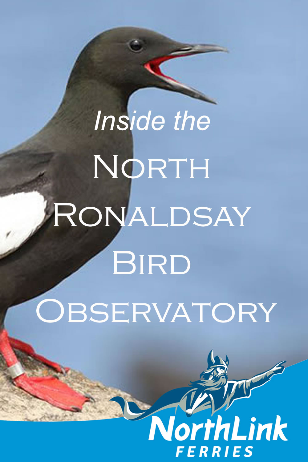 Inside the North Ronaldsay Bird Observatory