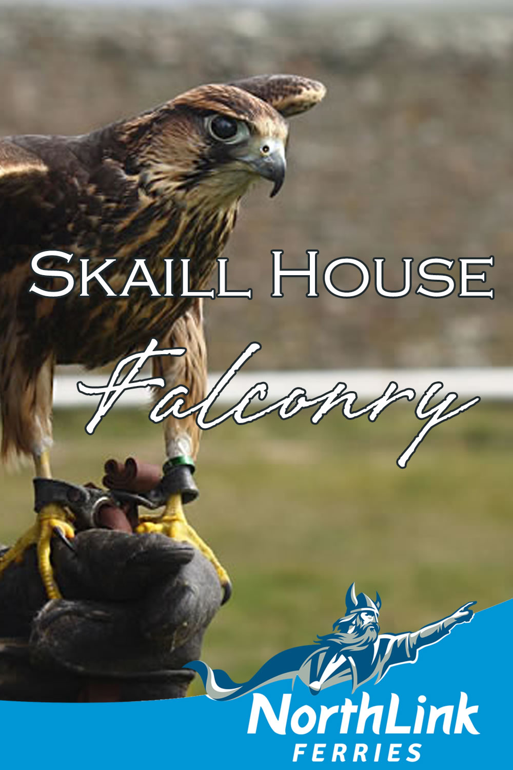 Skaill House Falconry