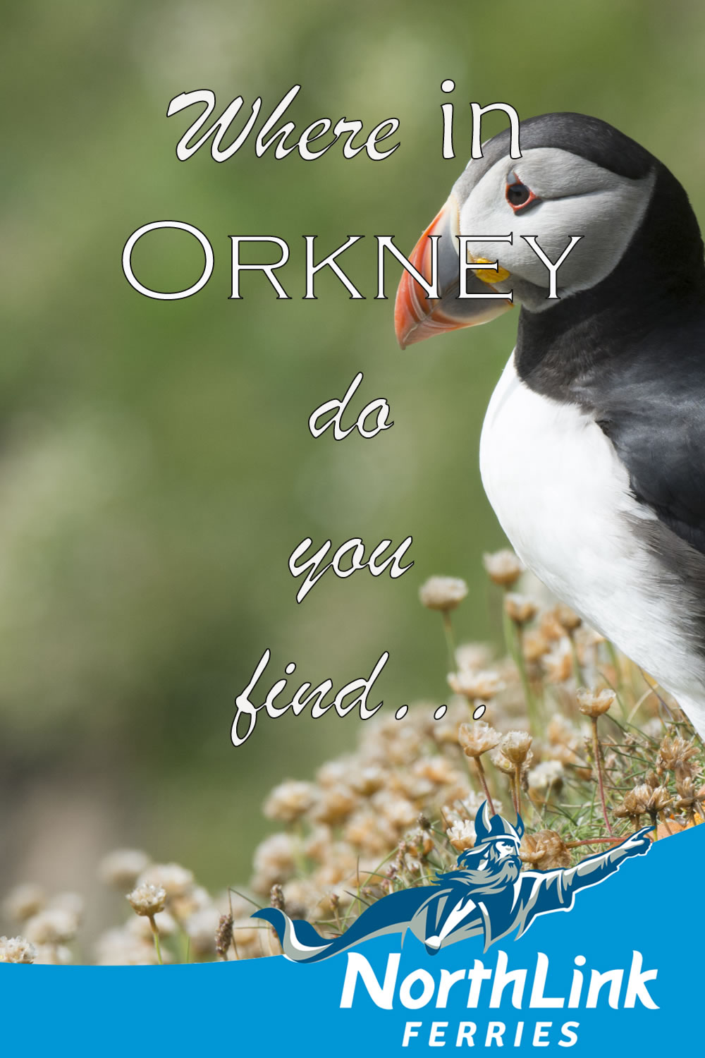 Where in Orkney do you find...
