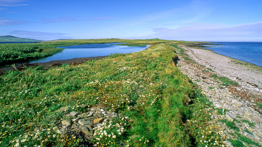 Egilsay shore in Orkney