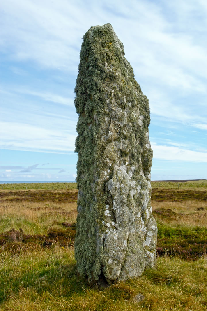 Mor Stein - a lichen encrusted standing stone in Shapinsay, Orkney